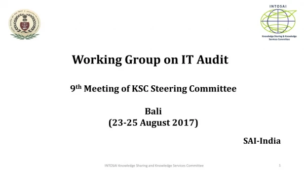 W orking Group on IT Audit