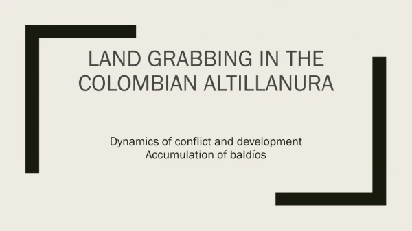 Land grabbing in the Colombian Altillanura