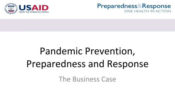 Pandemic Prevention, Preparedness and Response