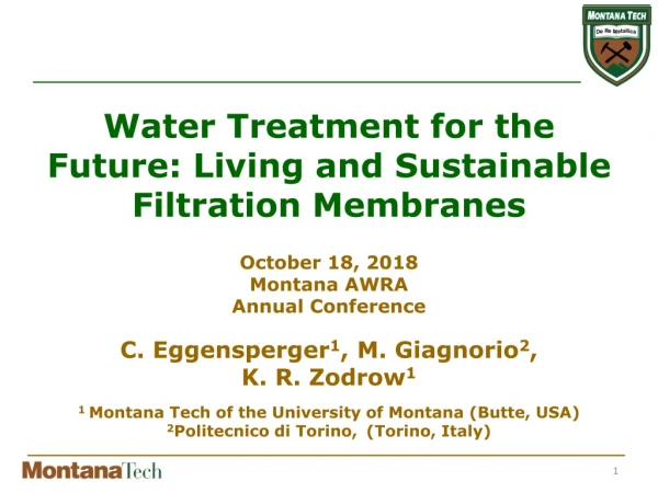 Water Treatment for the Future: Living and Sustainable Filtration Membranes