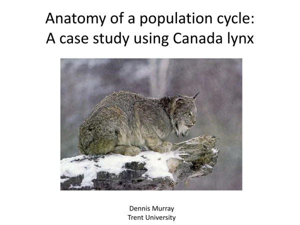 Anatomy of a population cycle: A c ase s tudy using Canada lynx
