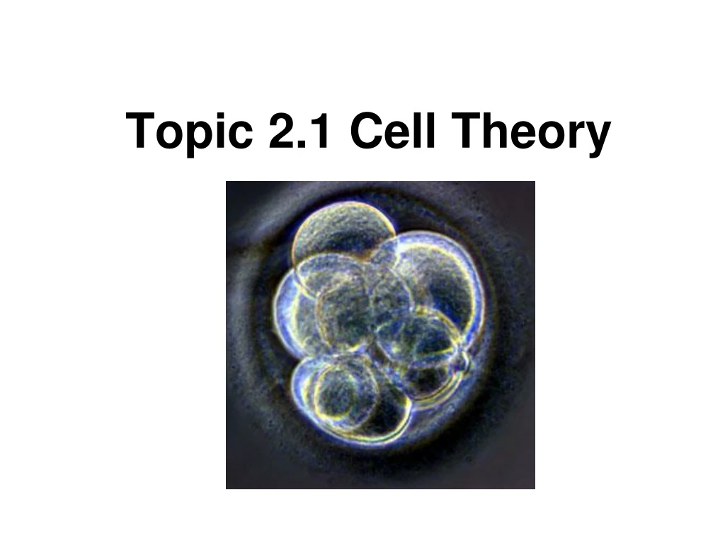 topic 2 1 cell theory