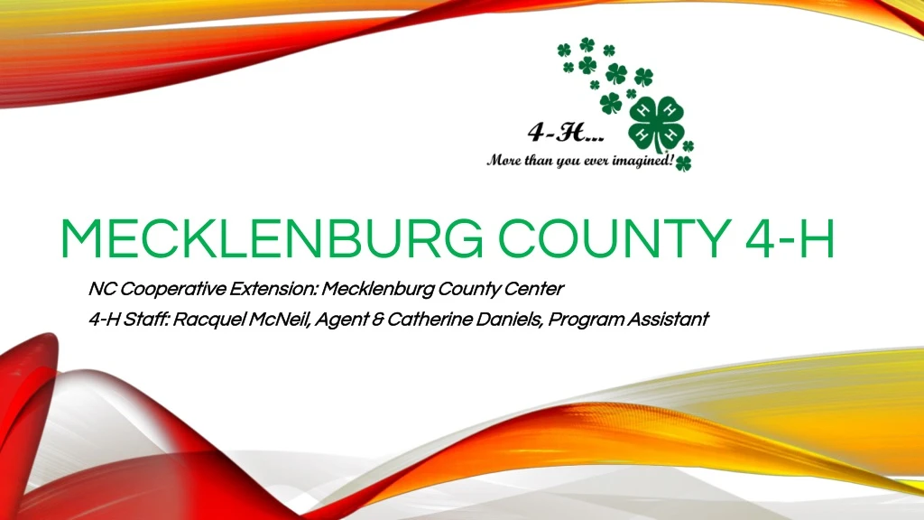 mecklenburg county 4 h