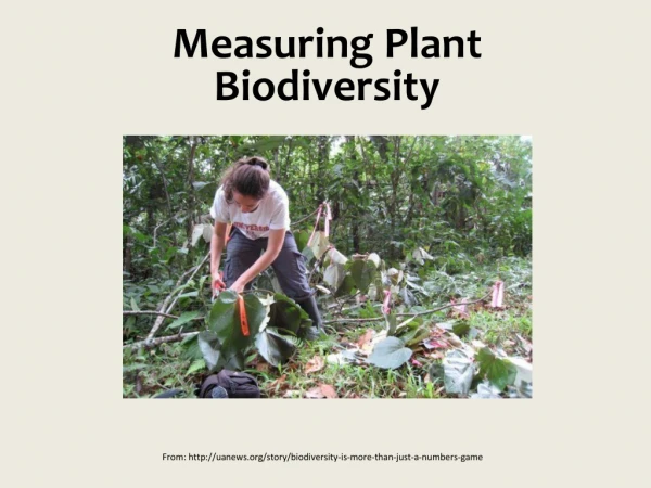Measuring Plant Biodiversity