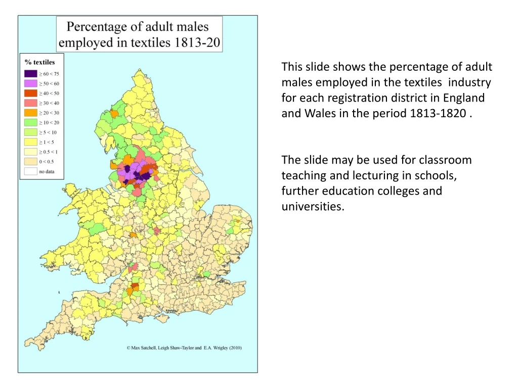 this slide shows the percentage of adult males