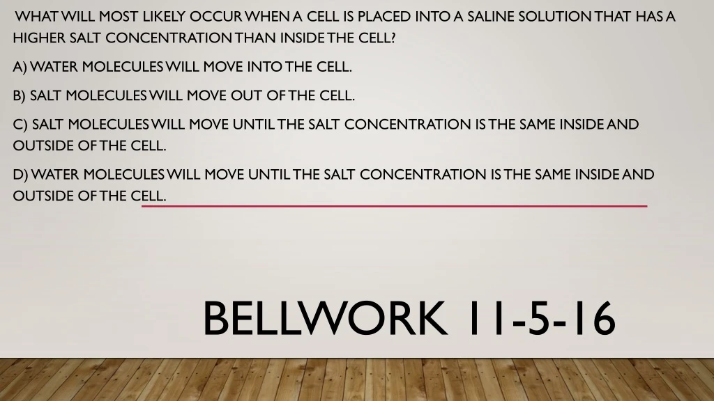 bellwork 11 5 16