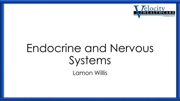 Endocrine and Nervous Systems