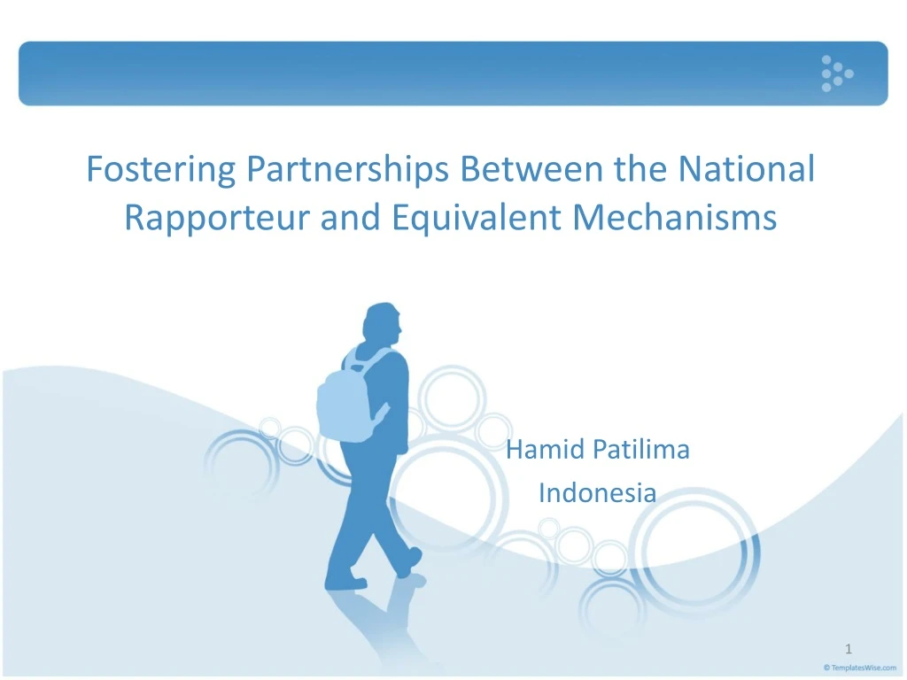 fostering partnerships between the national rapporteur and equivalent mechanisms