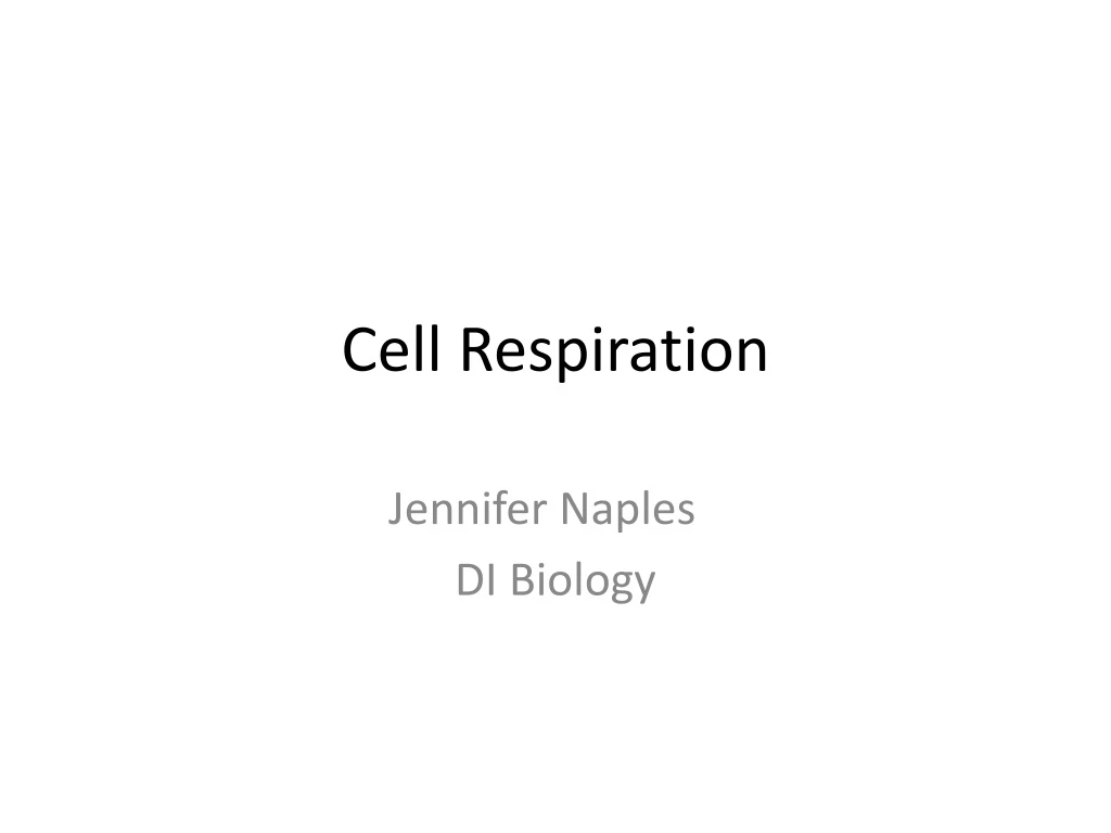 cell respiration