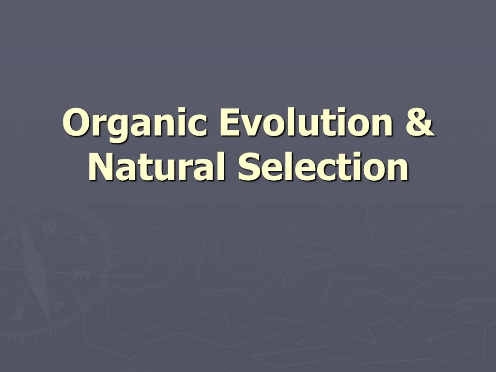 organic evolution natural selection