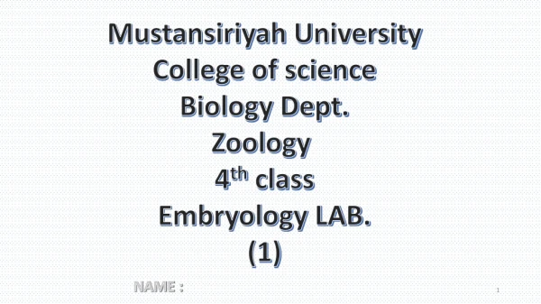 Mustansiriyah U niversity College of science Biology Dept. Zoology 4 th class Embryology LAB. (1)
