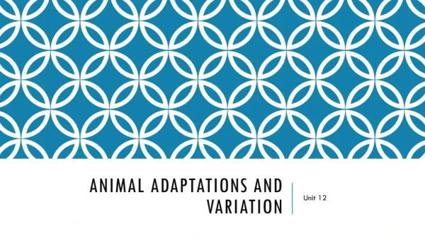 Animal Adaptations and variation