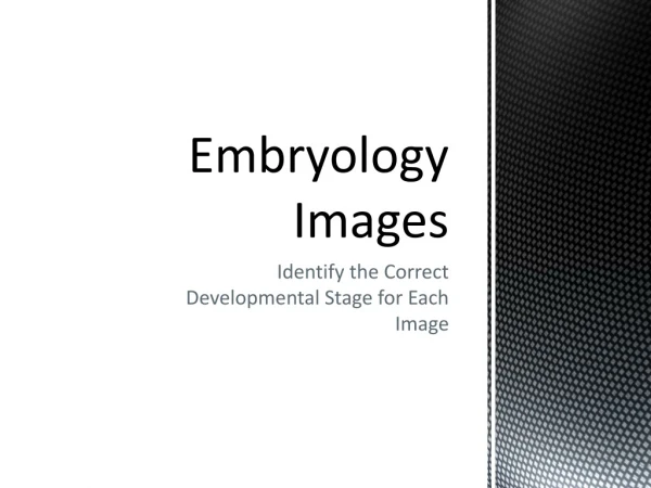 Embryology Images
