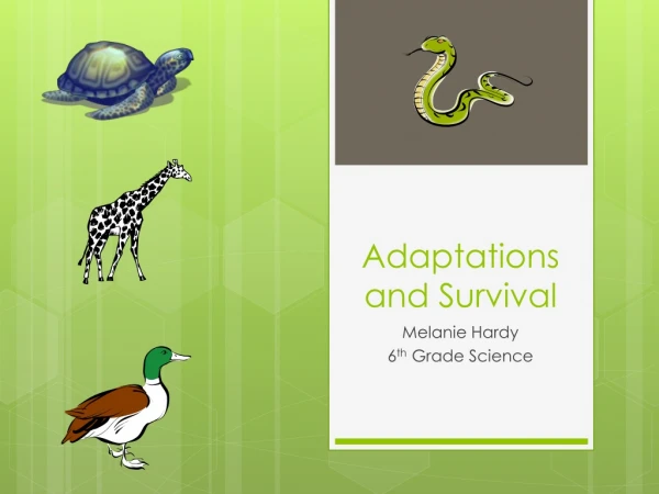 Adaptations and Survival