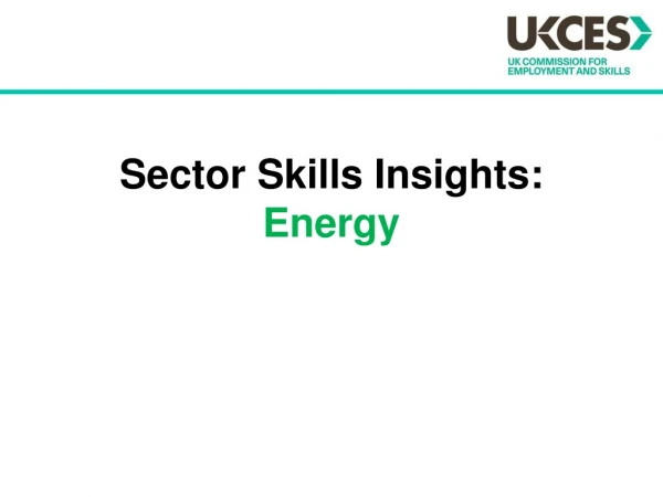 Sector Skills Insights: Energy