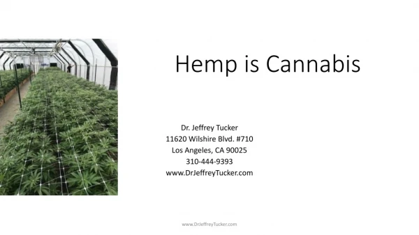 Hemp is Cannabis