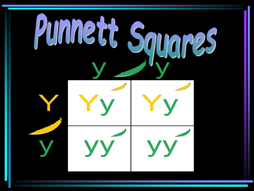 punnett squares