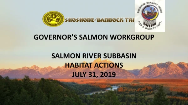 GOVERNOR’S SALMON WORKGROUP SALMON RIVER SUBBASIN HABITAT ACTIONS JULY 31, 2019
