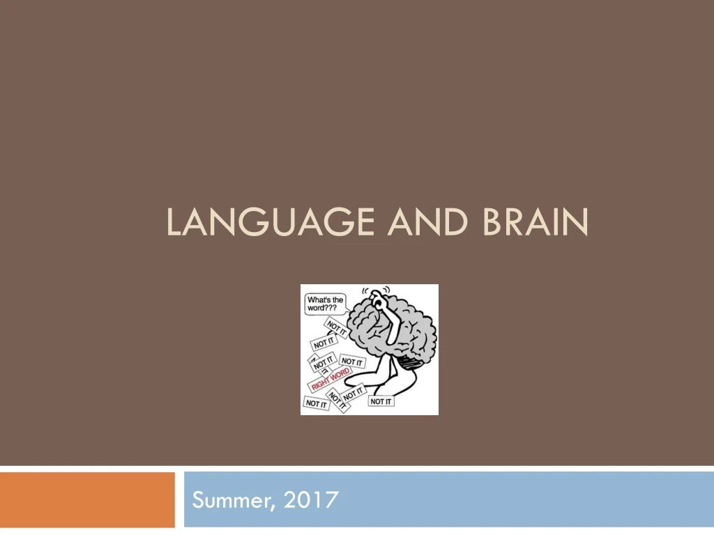 language and brain