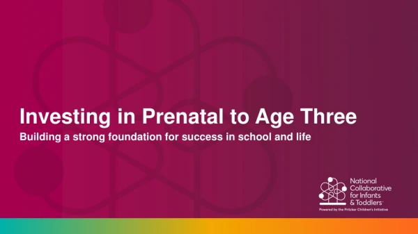 Investing in Prenatal to Age Three