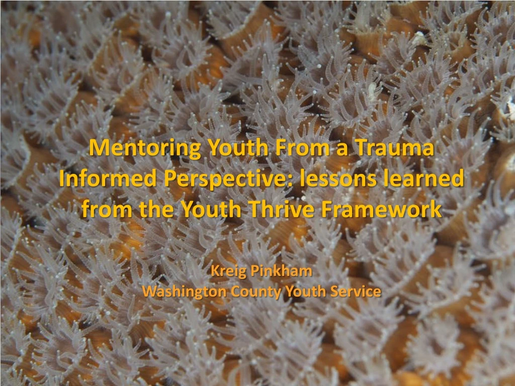 mentoring youth from a trauma informed