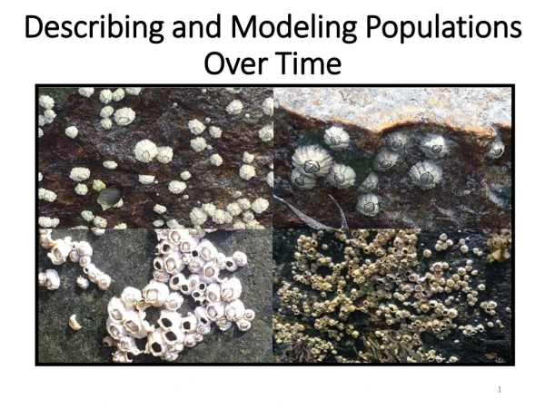 Describing and Modeling Populations Over T ime