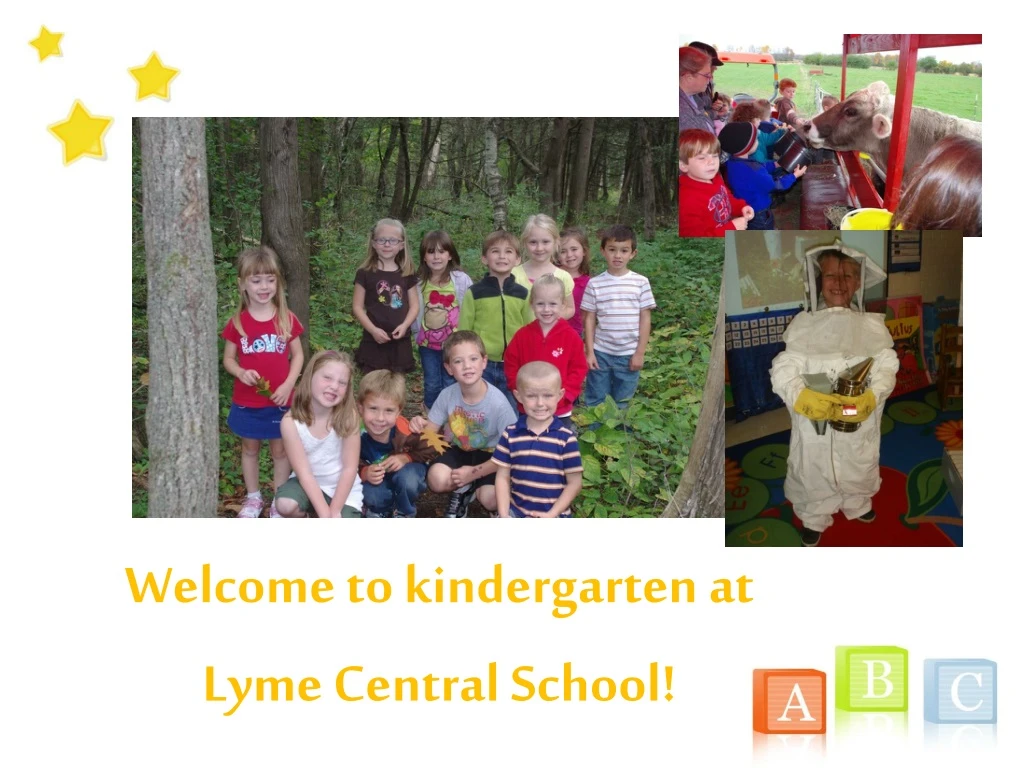 welcome to kindergarten at lyme central school