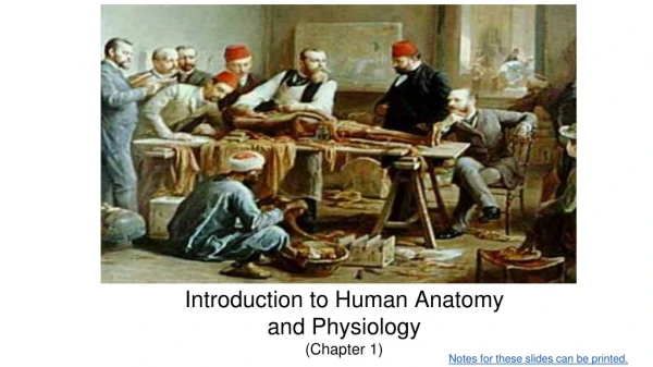 Introduction to Human Anatomy and Physiology (Chapter 1)