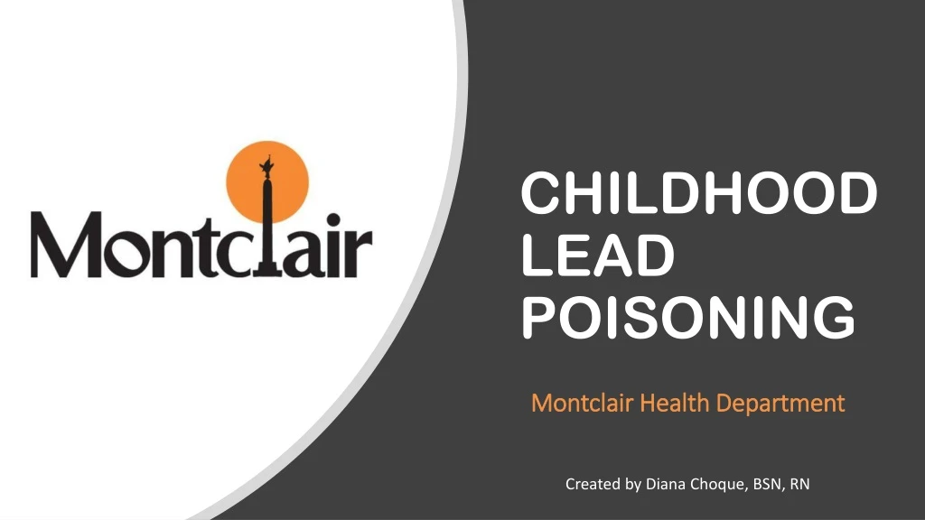 childhood lead poisoning