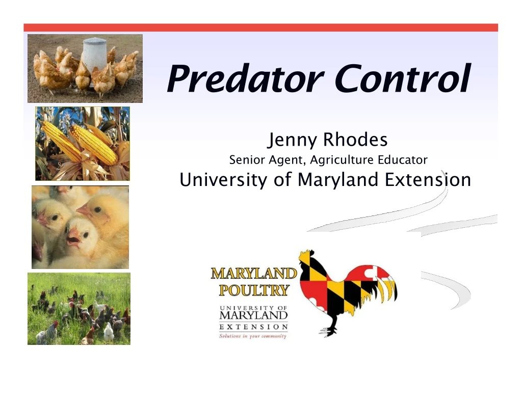 predator control