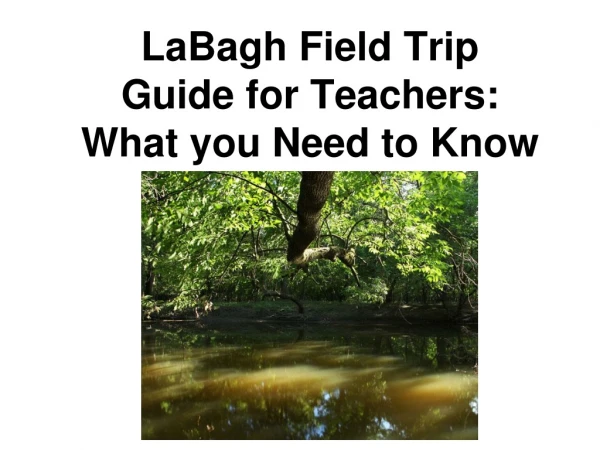 LaBagh Field Trip Guide for Teachers: What you Need to Know