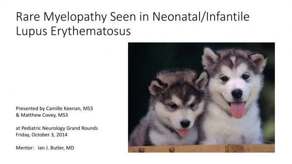 Rare Myelopathy Seen in Neonatal/Infantile Lupus Erythematosus