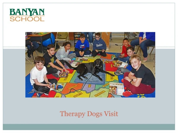 Therapy Dogs Visit