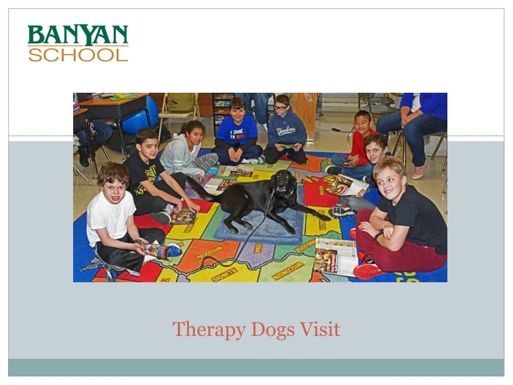 therapy dogs visit