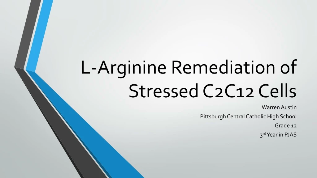 l arginine remediation of stressed c2c12 cells