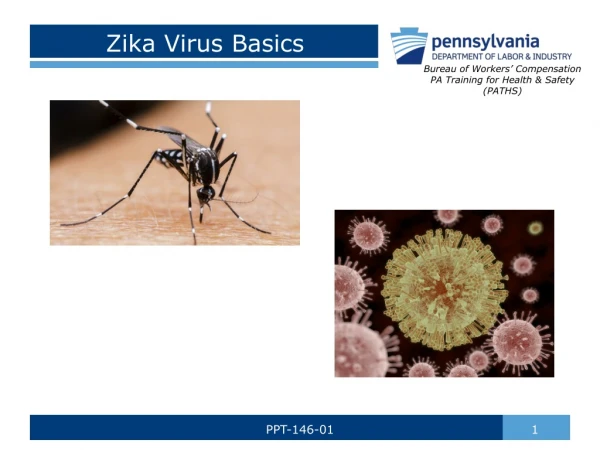 Zika Virus Basics
