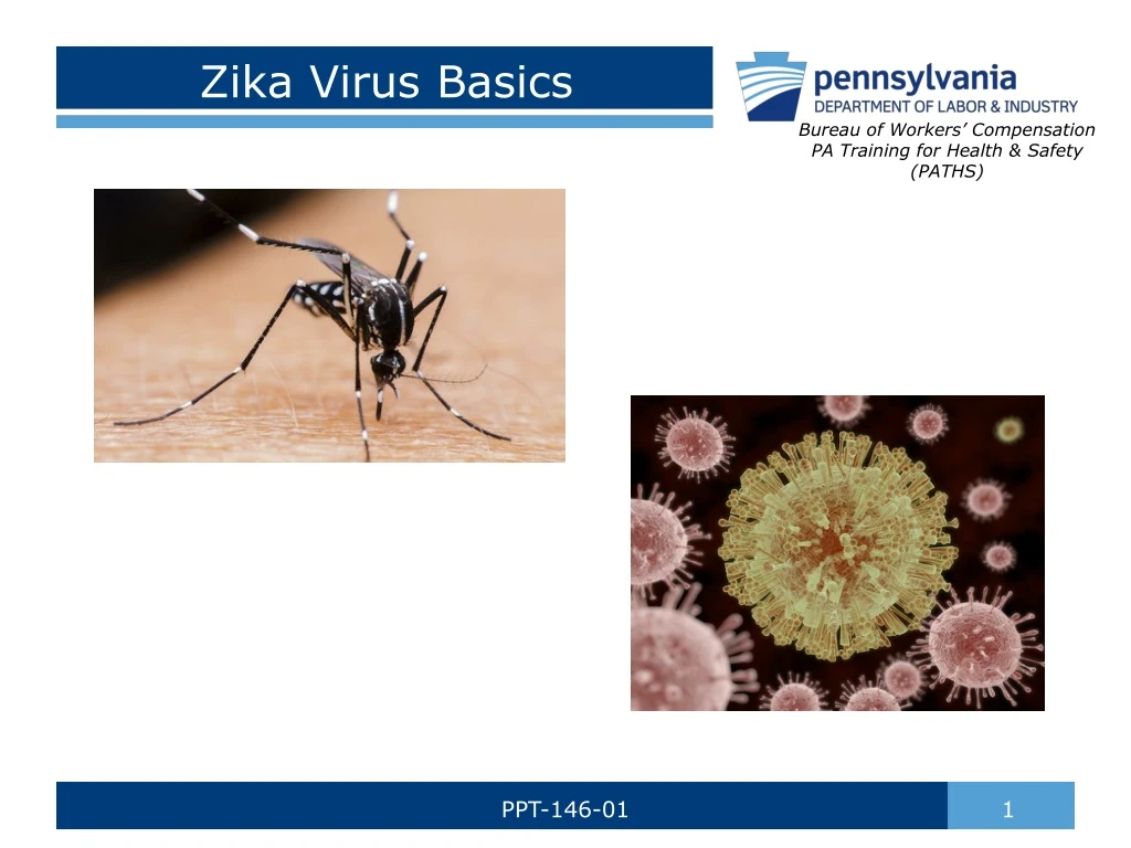 zika virus basics