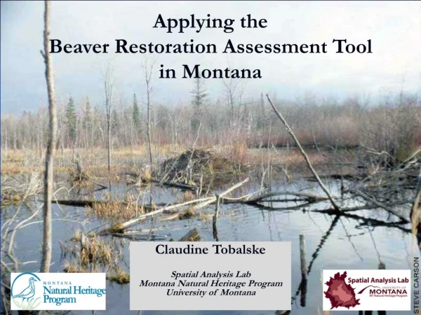 Applying the Beaver Restoration Assessment Tool in Montana