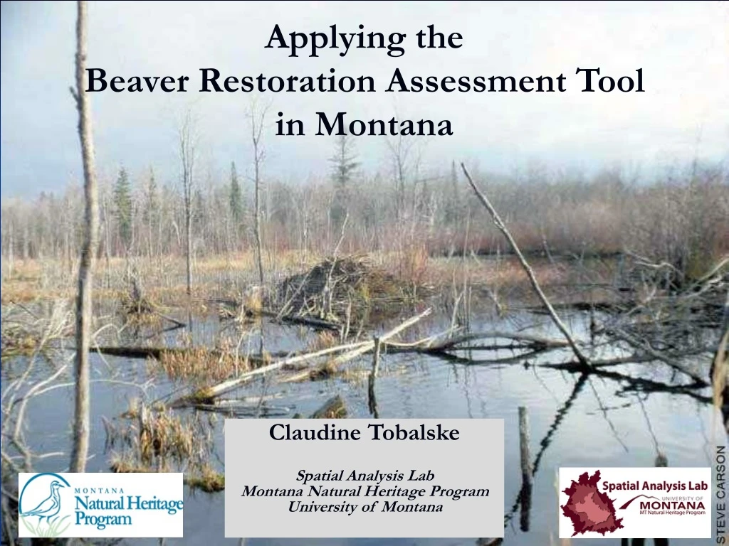 applying the beaver restoration assessment tool in montana