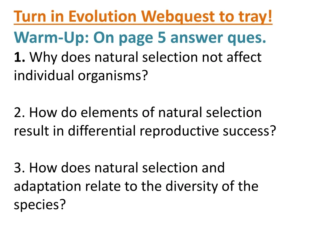 turn in evolution webquest to tray warm