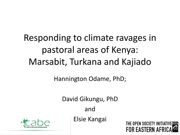 Responding to climate ravages in pastoral areas of Kenya: Marsabit, Turkana and Kajiado