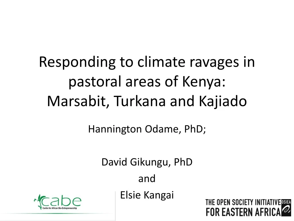 responding to climate ravages in pastoral areas of kenya marsabit turkana and kajiado