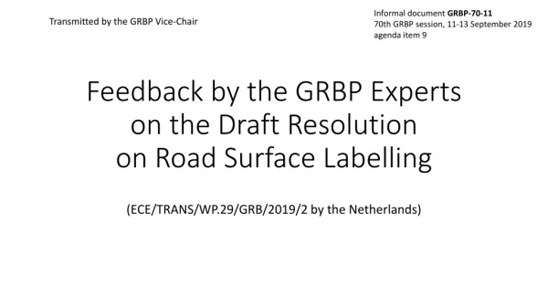 Feedback by the GRBP Experts on the Draft Resolution on Road Surface Labelling