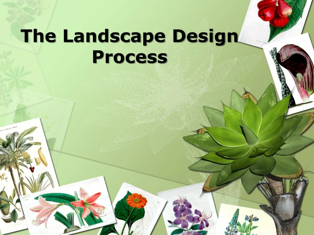 the landscape design process