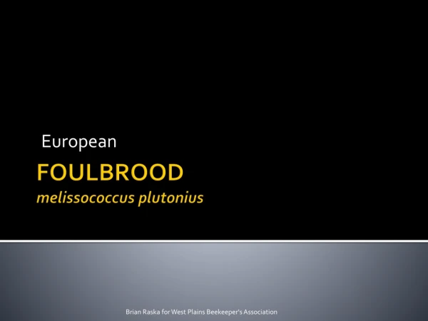 FOULBROOD melissococcus plutonius