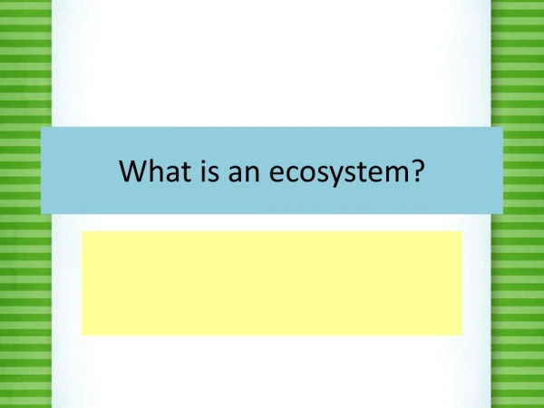 What is an ecosystem?