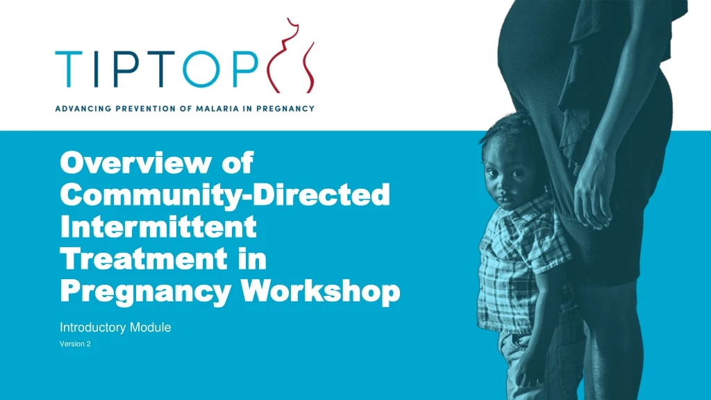 overview of community directed intermittent treatment in pregnancy workshop