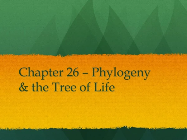 Chapter 26 – Phylogeny &amp; the Tree of Life