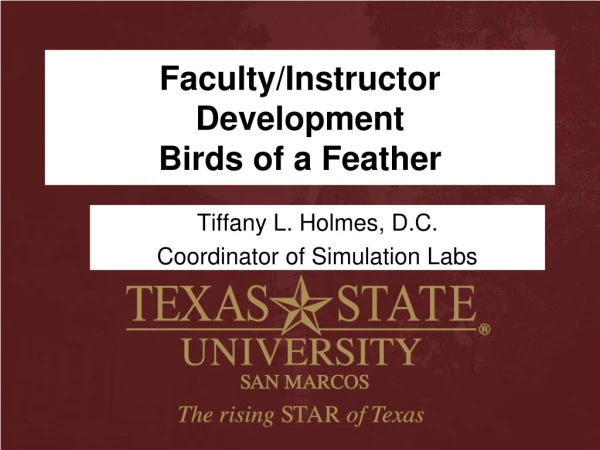Faculty/Instructor Development Birds of a Feather