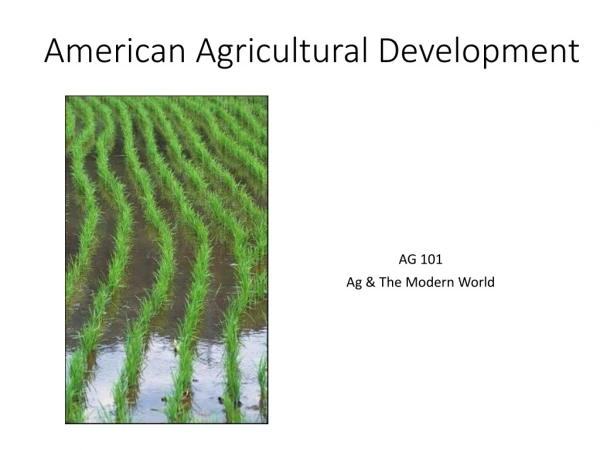 American Agricultural Development